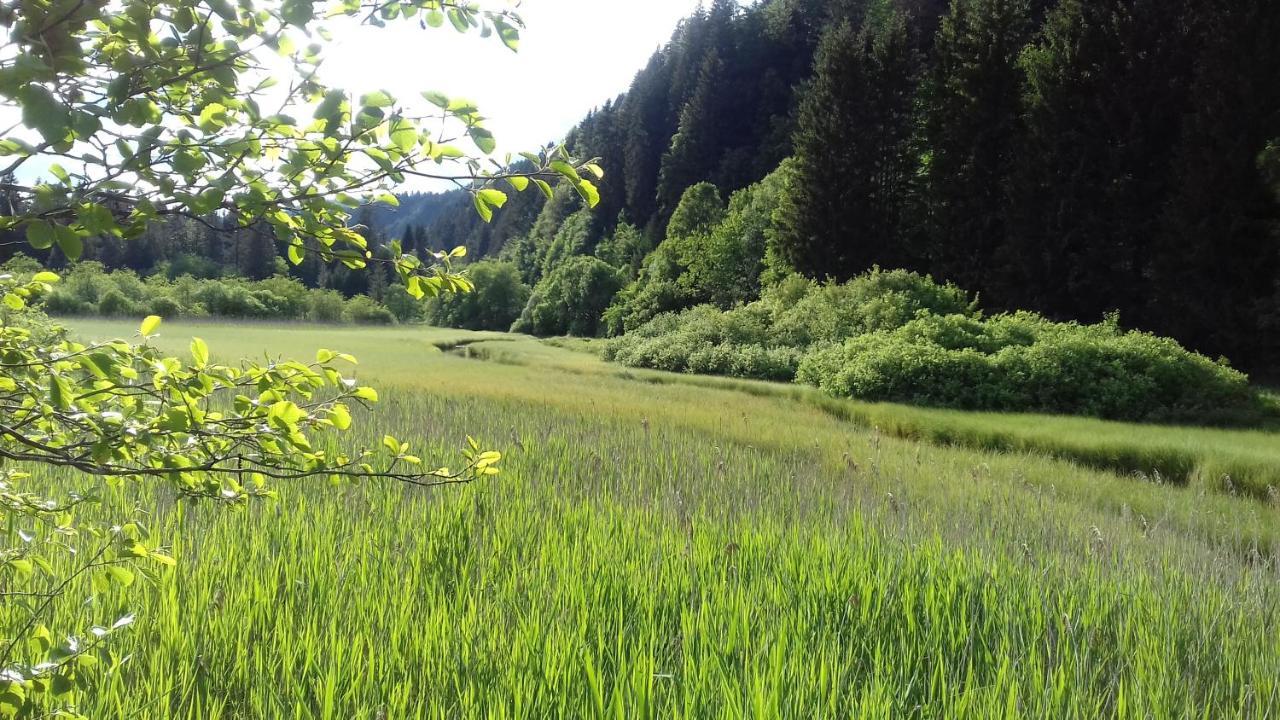 Apartma Kramar Podkoren Kranjska Gora Exteriér fotografie