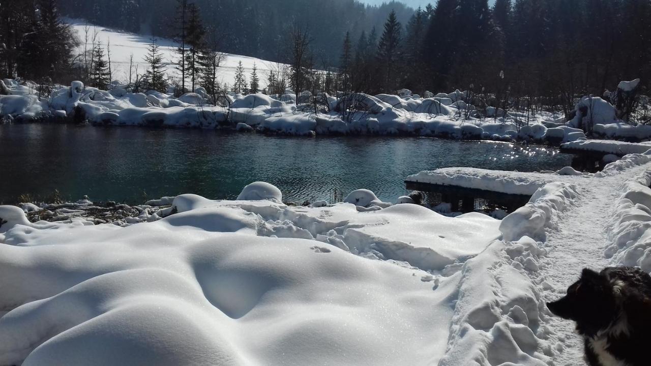 Apartma Kramar Podkoren Kranjska Gora Exteriér fotografie